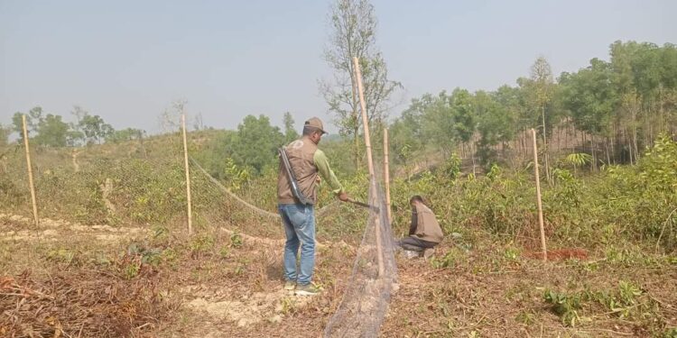 চকরিয়ায় কাকারা বনবিটের উচ্ছেদ অভিযানে বেদখল বনভূমি উদ্ধার