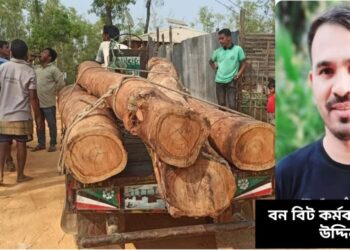 মাটিকাটা ও গাছ পাচারে বাধা দেওয়ায় বিট কর্মকর্তাকে হামলার চেষ্টা