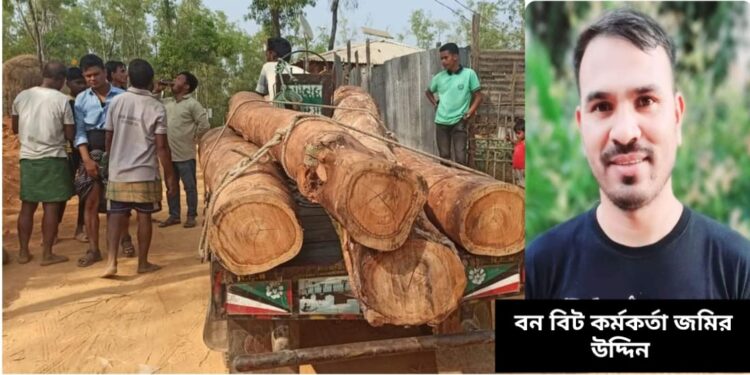 মাটিকাটা ও গাছ পাচারে বাধা দেওয়ায় বিট কর্মকর্তাকে হামলার চেষ্টা
