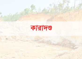 চকরিয়ায় পাহাড় কাটার দায়ে ৩ জনের কারাদণ্ড
