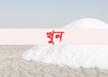মহেশখালীতে লবণমাঠ দখল নিয়ে সংঘর্ষে একজন নিহত