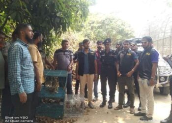 চকরিয়ায় সাহারবিল ইউপি চেয়ারম্যানের  বাড়িতে র‌্যাবের অভিযান, বন্যপ্রাণী উদ্ধার