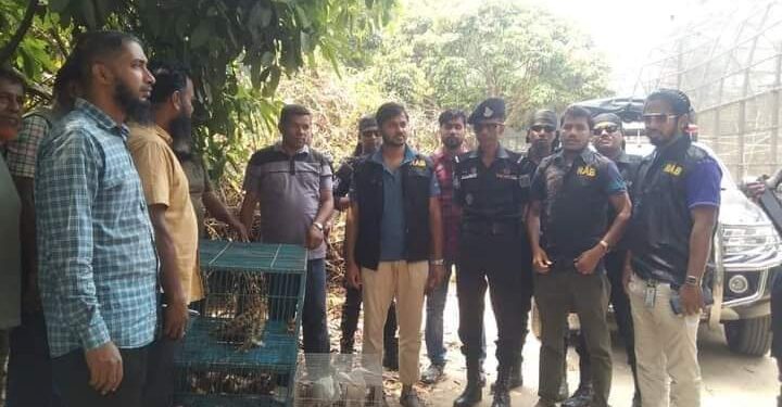 চকরিয়ায় সাহারবিল ইউপি চেয়ারম্যানের বাড়িতে র্যাবের অভিযান, বন্যপ্রাণী উদ্ধার 1 চকরিয়ায় সাহারবিল ইউপি চেয়ারম্যানের বাড়িতে র্যাবের অভিযান, বন্যপ্রাণী উদ্ধার