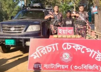 রামুতে ইয়াবাসহ গাড়িচালক গ্রেফতার