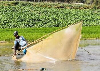 মাতামুহুরী নদীতে বিষ: ধ্বংস হচ্ছে মৎস্য ভান্ডার, পেশা বদল করছে জেলেরা