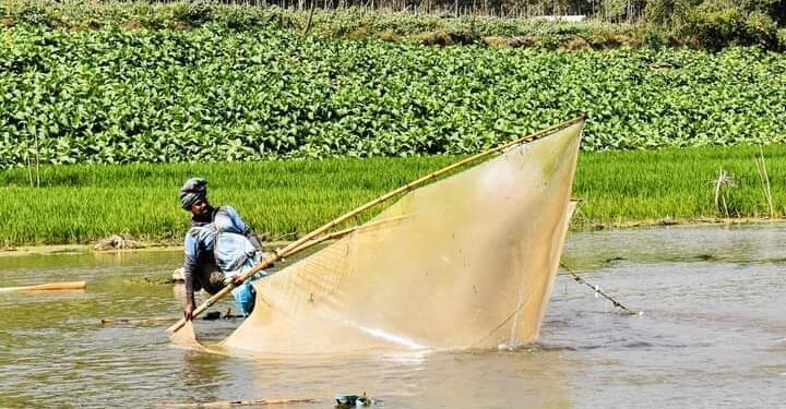 মাতামুহুরী নদীতে বিষ: ধ্বংস হচ্ছে মৎস্য ভান্ডার, পেশা বদল করছে জেলেরা