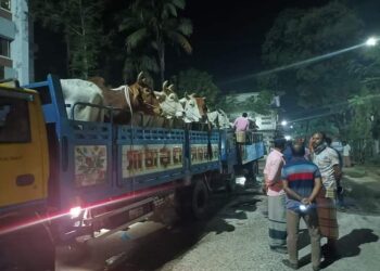 ডাকাতের কবল থেকে  ১৭ গরু উদ্ধার