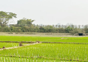 গুলির শব্দে কেঁপে উঠল টেকনাফ সীমান্ত