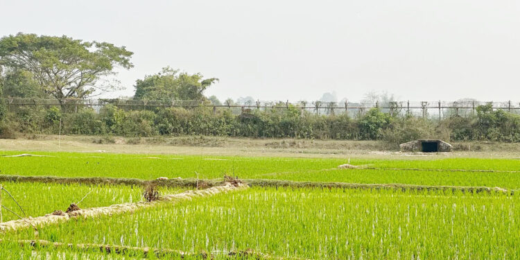 গুলির শব্দে কেঁপে উঠল টেকনাফ সীমান্ত 1 গুলির শব্দে কেঁপে উঠল টেকনাফ সীমান্ত