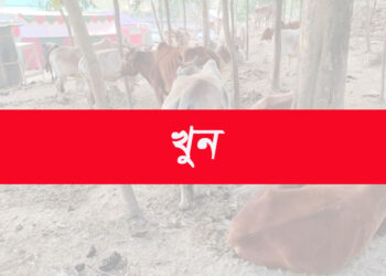 অবৈধ গরু পাচারকে কেন্দ্র করে রামুতে দুই ডাকাত দলের সংঘর্ষে পিতা -পুত্র নিহত