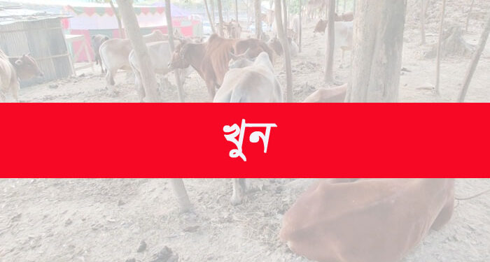 অবৈধ গরু পাচারকে কেন্দ্র করে রামুতে দুই ডাকাত দলের সংঘর্ষে পিতা -পুত্র নিহত 1 অবৈধ গরু পাচারকে কেন্দ্র করে রামুতে দুই ডাকাত দলের সংঘর্ষে পিতা -পুত্র নিহত