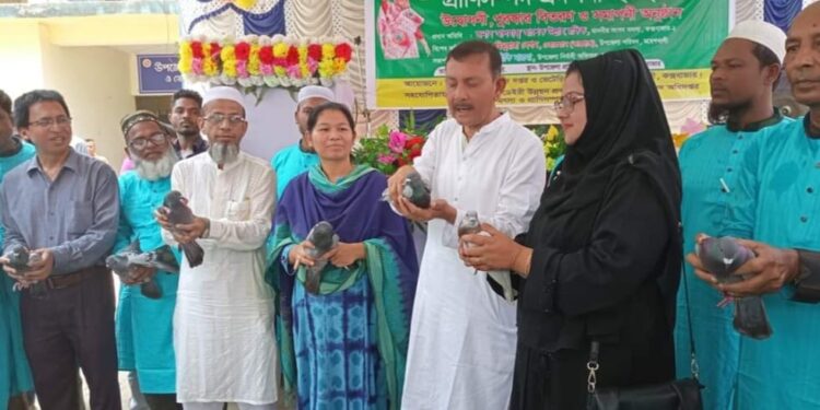 মহেশখালীতে দিনব্যাপী প্রাণিসম্পদ প্রদর্শনী মেলা অনুষ্ঠিত