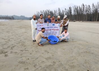 কক্সবাজার সমুদ্র উপকূলে কাছিমের ছানা অবমুক্ত