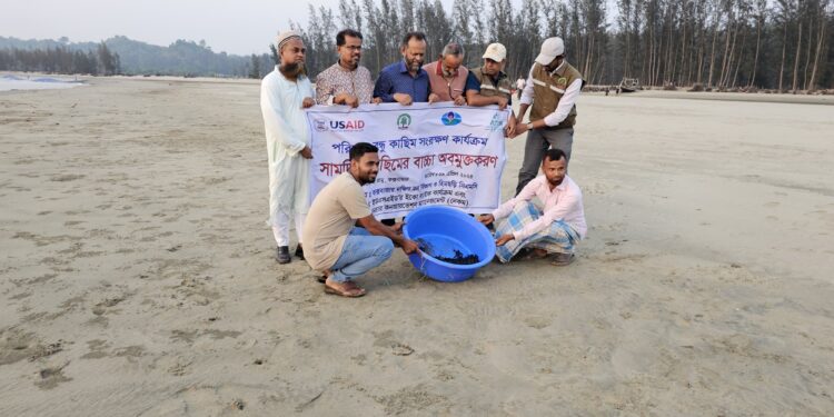 কক্সবাজার সমুদ্র উপকূলে কাছিমের ছানা অবমুক্ত 1 কক্সবাজার সমুদ্র উপকূলে কাছিমের ছানা অবমুক্ত