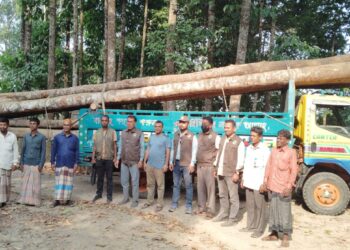 পেকুয়ায় বনবিভাগের অভিযানে চোরাই গর্জন গাছসহ ট্রাক জব্দ