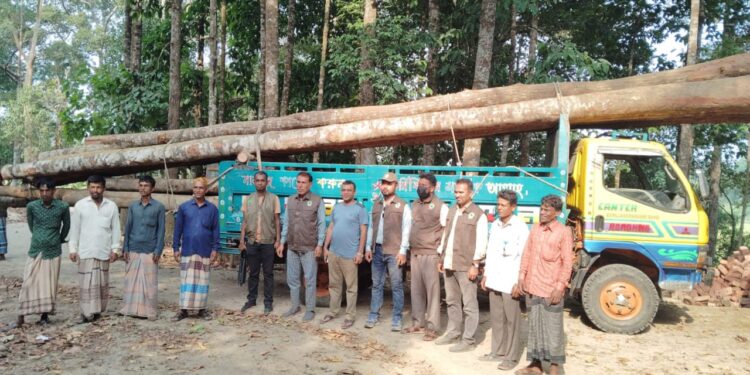 পেকুয়ায় বনবিভাগের অভিযানে চোরাই গর্জন গাছসহ ট্রাক জব্দ 1 পেকুয়ায় বনবিভাগের অভিযানে চোরাই গর্জন গাছসহ ট্রাক জব্দ