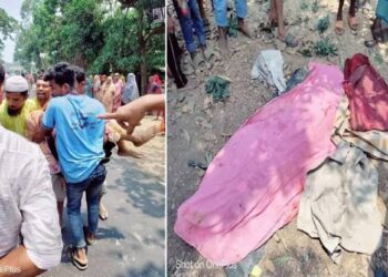 ঈদগাঁওয়ে সড়ক দুর্ঘটনায় নিহত ৫
