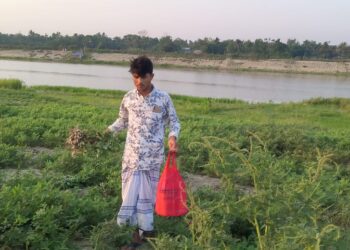 চকরিয়ায় কৃষকের ক্ষেত থেকে বাদাম চুরির অভিযোগ