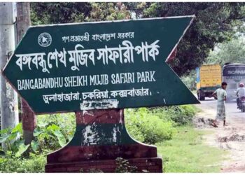 ঈদের ছুটিতে দর্শনার্থী বরণে প্রস্তুত ডুলাহাজারা বঙ্গবন্ধু সাফারি পার্ক