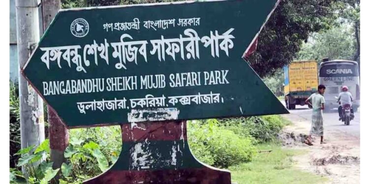 ঈদের ছুটিতে দর্শনার্থী বরণে প্রস্তুত ডুলাহাজারা বঙ্গবন্ধু সাফারি পার্ক 1 ঈদের ছুটিতে দর্শনার্থী বরণে প্রস্তুত ডুলাহাজারা বঙ্গবন্ধু সাফারি পার্ক