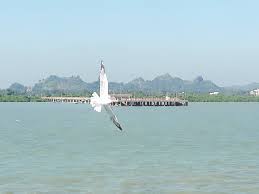 আরাকান আর্মির গুলিতে আহত বাংলাদেশির মৃত্যু 1 আরাকান আর্মির গুলিতে আহত বাংলাদেশির মৃত্যু