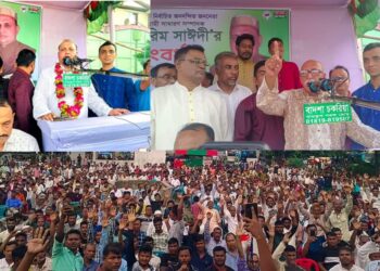 এমপির সঙ্গে উপজেলা চেয়ারম্যান পৌর মেয়রের সমন্বয়  রয়েছে, তাই উন্নয়ন হবে:এমপি সৈয়দ মুহাম্মদ ইবরাহিম বীরপ্রতীক