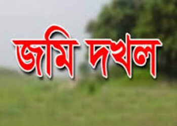 মহাসড়কের জমি দখল,ঈদগাঁও গরুর বাজারের ড্রেন এখন পথের কাঁটা