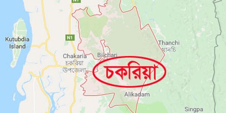 চকরিয়া উপজেলা, ফাইল ছবি।