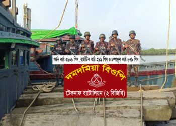 টেকনাফে সাড়ে দশ কোটি টাকার চোরাই কাঠ জব্দ