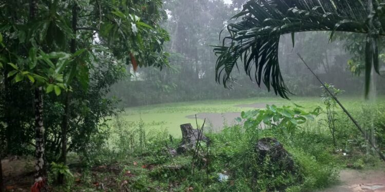 তিনদিন দেশজুড়ে বৃষ্টি অব্যাহত থাকবে