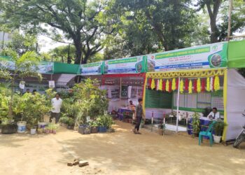 কক্সবাজারে বৃক্ষ মেলায় ১৫ হাজার চারা বিক্রি