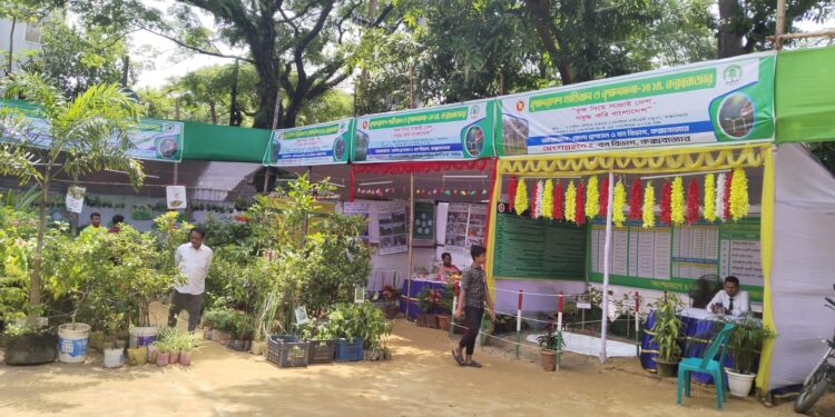 কক্সবাজারে বৃক্ষ মেলায় ১৫ হাজার চারা বিক্রি 1 কক্সবাজারে বৃক্ষ মেলায় ১৫ হাজার চারা বিক্রি