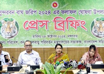 সুন্দরবনে বাঘের সংখ্যা বেড়েছে ৯.৬৫ শতাংশ