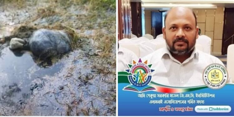 পেকুয়ায় অপহৃত স্কুল শিক্ষকের বস্তাবন্দি লাশ উদ্ধার