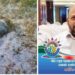 পেকুয়ায় অপহৃত স্কুল শিক্ষকের বস্তাবন্দি লাশ উদ্ধার