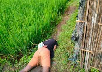 মহেশখালীতে অজ্ঞাত যুবকের লাশ উদ্ধার