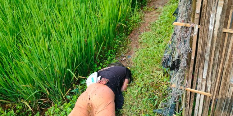 মহেশখালীতে অজ্ঞাত যুবকের লাশ উদ্ধার