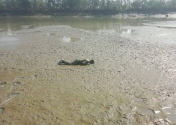 মাতামুহুরি নদীর চরে ভেসে এলো অজ্ঞাত মরদেহ