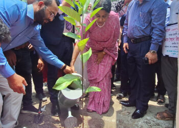 সাভারে এক লাখ চারাগাছ রোপণ কর্মসূচির উদ্বোধনপরিবেশ উপদেষ্টার