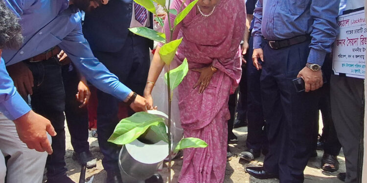 সাভারে এক লাখ চারাগাছ রোপণ কর্মসূচির উদ্বোধনপরিবেশ উপদেষ্টার 1 সাভারে এক লাখ চারাগাছ রোপণ কর্মসূচির উদ্বোধনপরিবেশ উপদেষ্টার