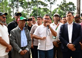 প্রত্যেক নাগরিককে একটি করে গাছের চারা রোপনের অনুরোধ প্রধানমন্ত্রীর
